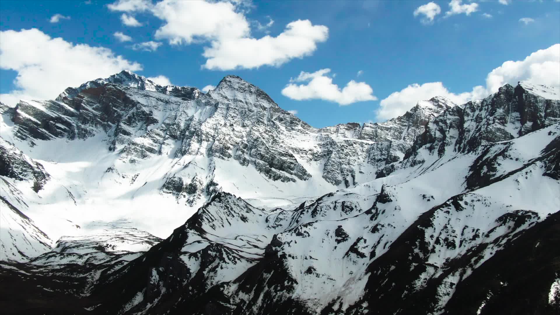 《多样武夷》纪录片发布 呼吁关注生物多样性保护-第2张图片