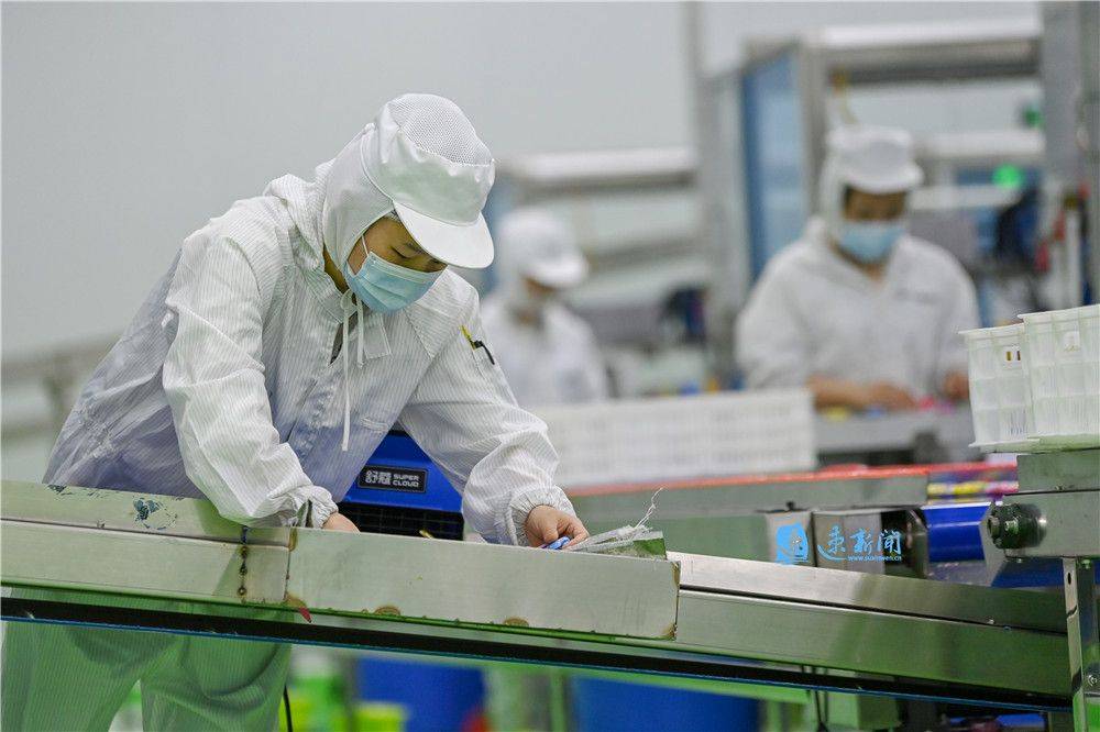 品渥食品:11月4日高管王牧减持股份合计2.33万股-第3张图片