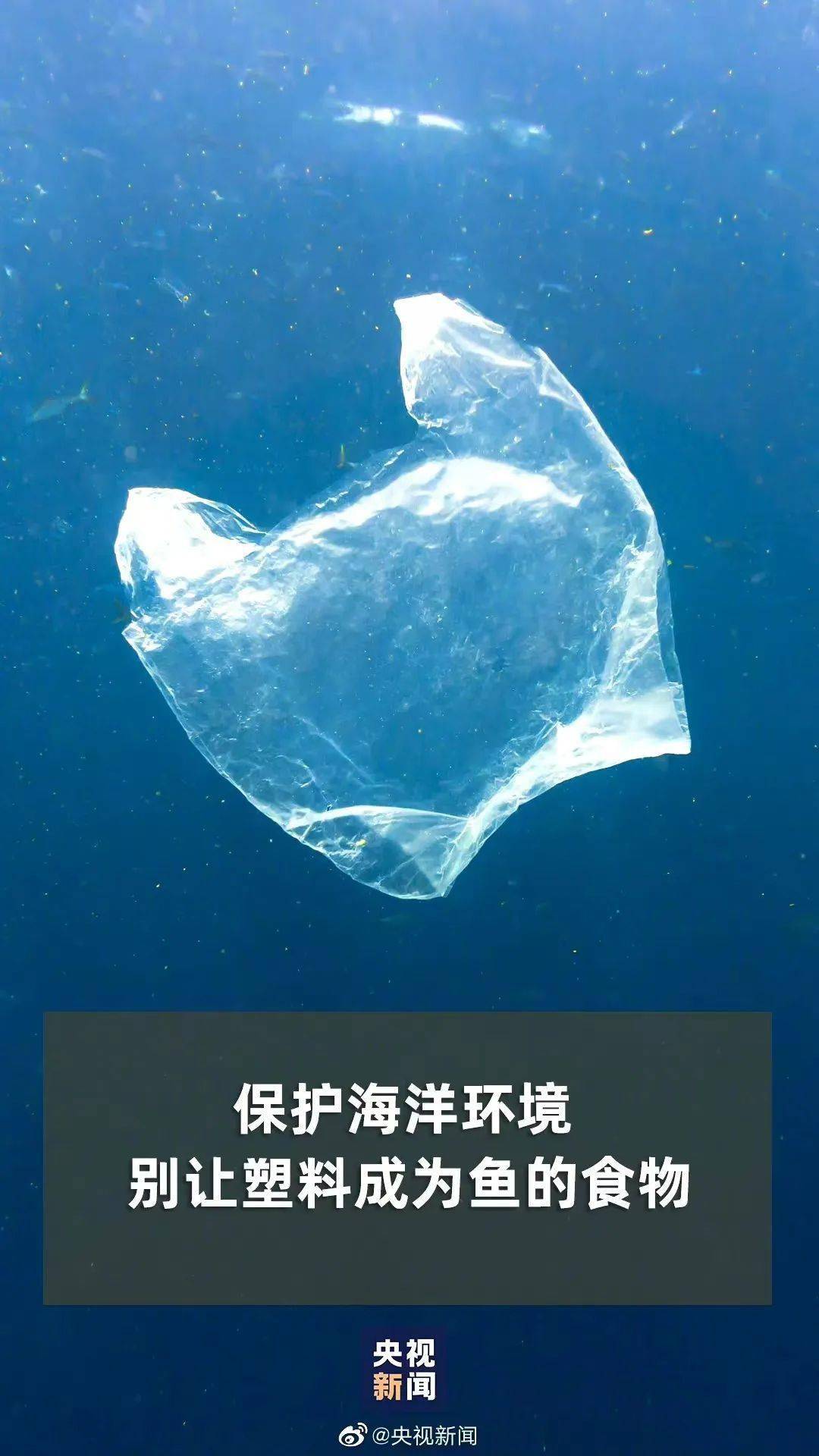 《多样武夷》纪录片发布 呼吁关注生物多样性保护-第3张图片