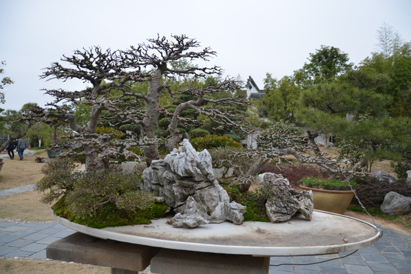 东方园林(002310)2025年三季报简析:亏损收窄,盈利能力上升-第2张图片