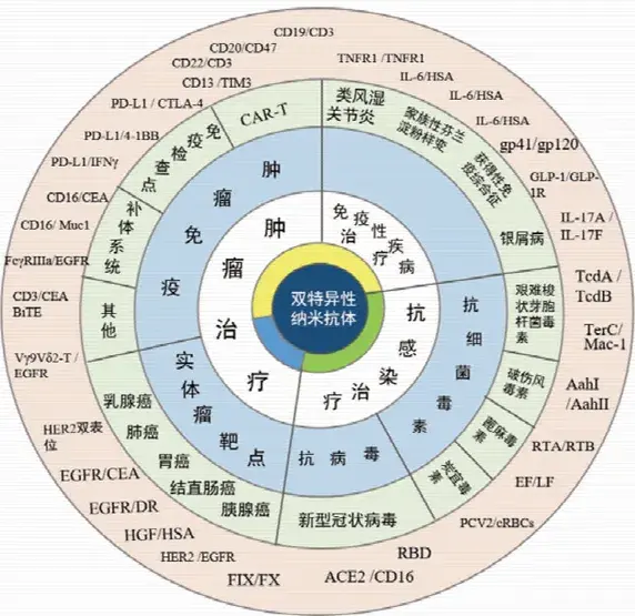 新型纳米颗粒助力骨关节炎早期识别-第3张图片