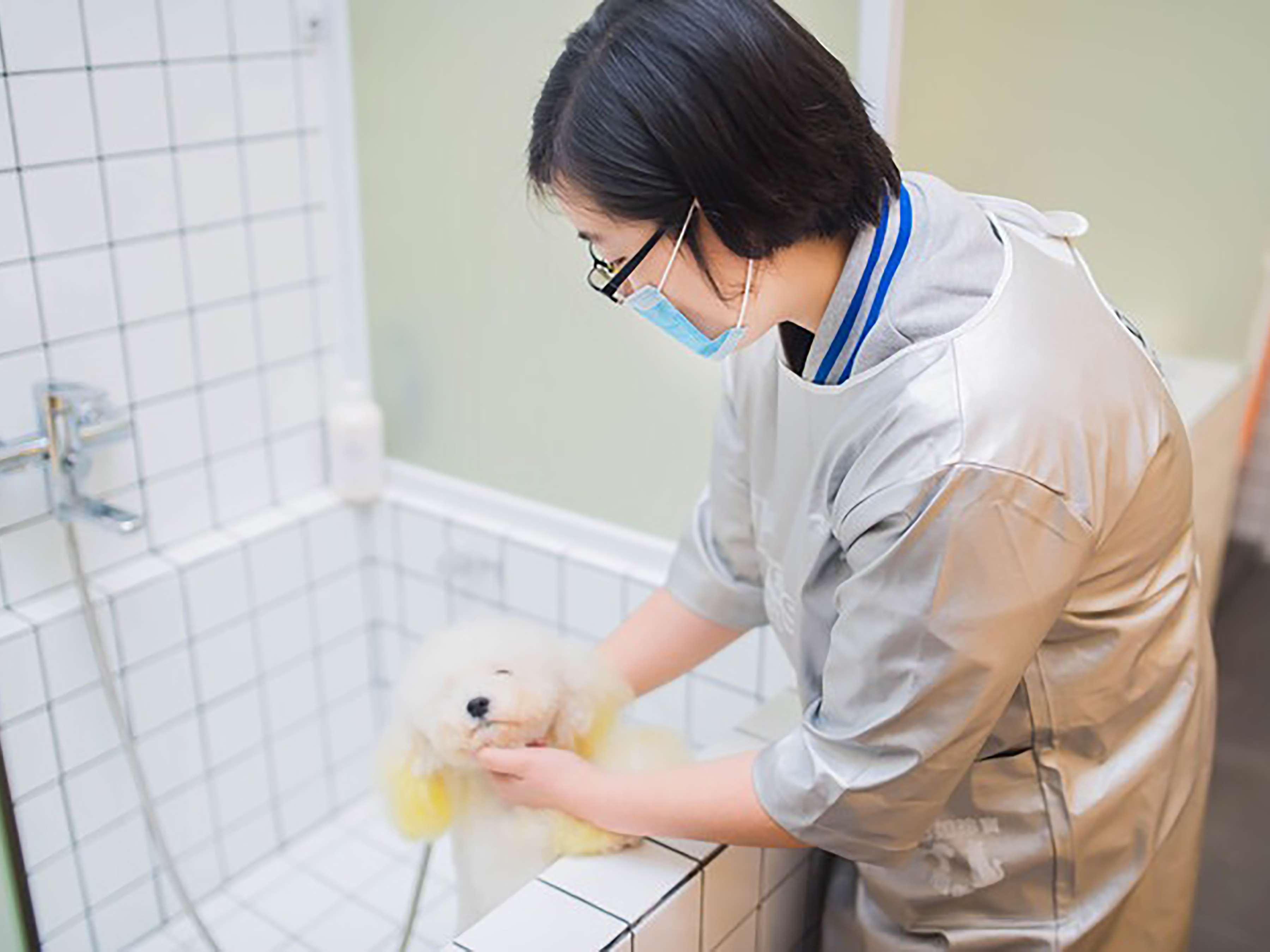 深圳宠物经济快速发展 大型转诊中心成新亮点-第2张图片