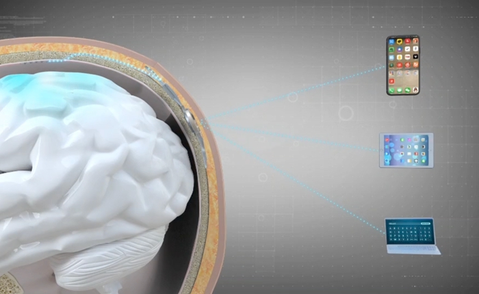 信邦制药：下属医院未涉及脑机接口植入医疗服务-第2张图片